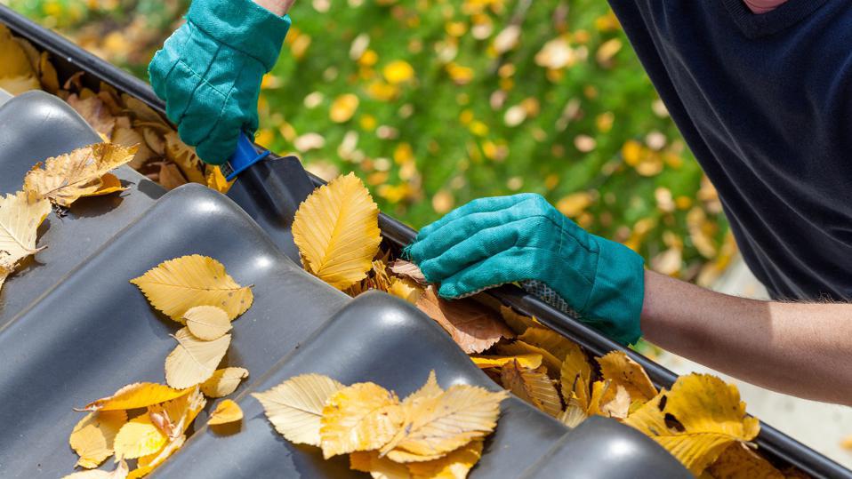 Gutter Cleaning NJ